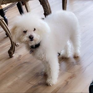 Meet your Posher, Jason